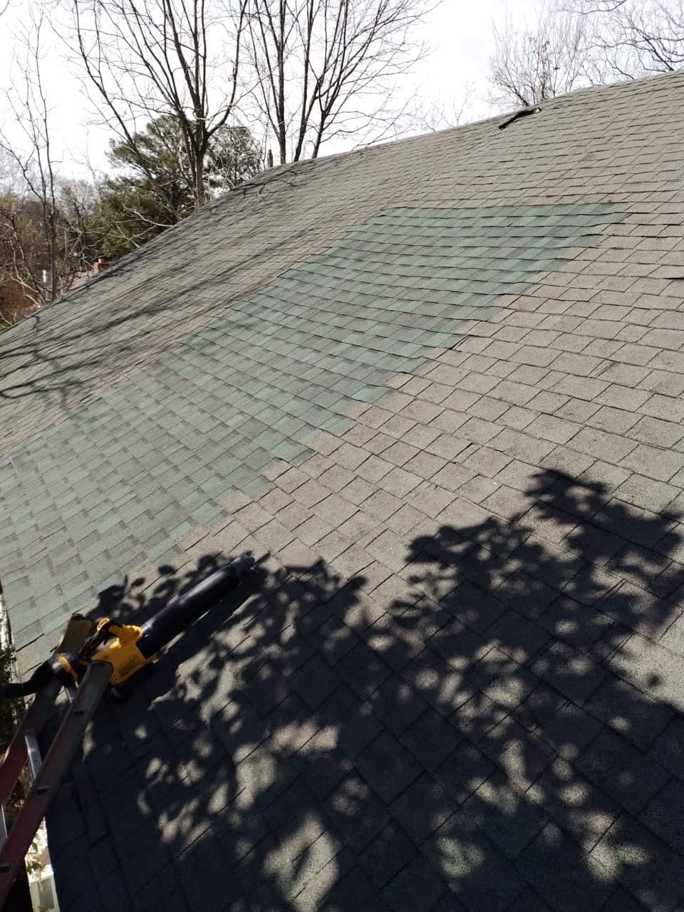 Rooftop with green asphalt shingles shows a patch of newer shingles. A leaf blower rests nearby. Shadows of tree branches are visible.